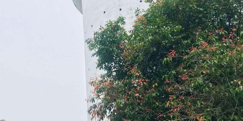 Ambuluwawa Tower with Kandy City Tour - What to Bring, and How to Handle the Hike and Spiral Staircase