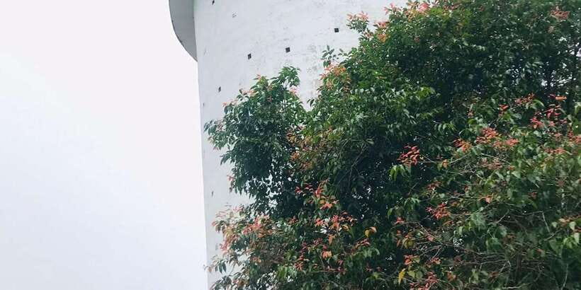 Ambuluwawa Tower with Kandy City Tour - Gem Museum, Wood Carving Factory, and Batik: Why These Stops Matter