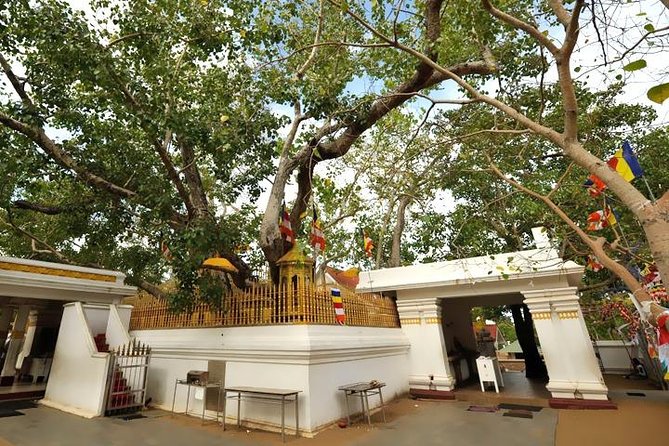 Anuradhapura: 14 Ancient City Sites Tuk Tuk Tour - Pickup, mobile ticket, and the audio guide experience