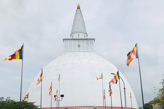 Anuradhapura ancient city tour with Travandgo tours - Pickup, air-conditioned transport, and a mobile ticket that actually helps