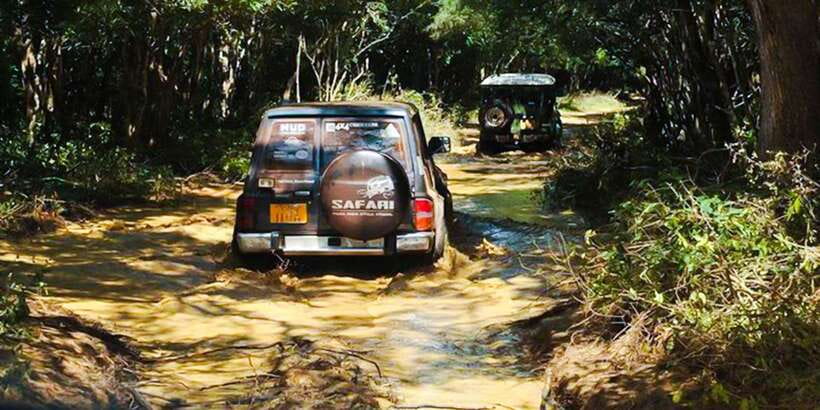 Anuradhapura: Full-Day Wilpattu All Inclusive Private Safari - Wilpattu’s leopard country: what you’re really paying for