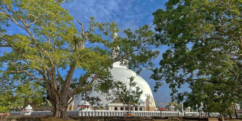 Anuradhapura Private Ancient City Day Tour - A 5-hour Anuradhapura plan that actually makes sense