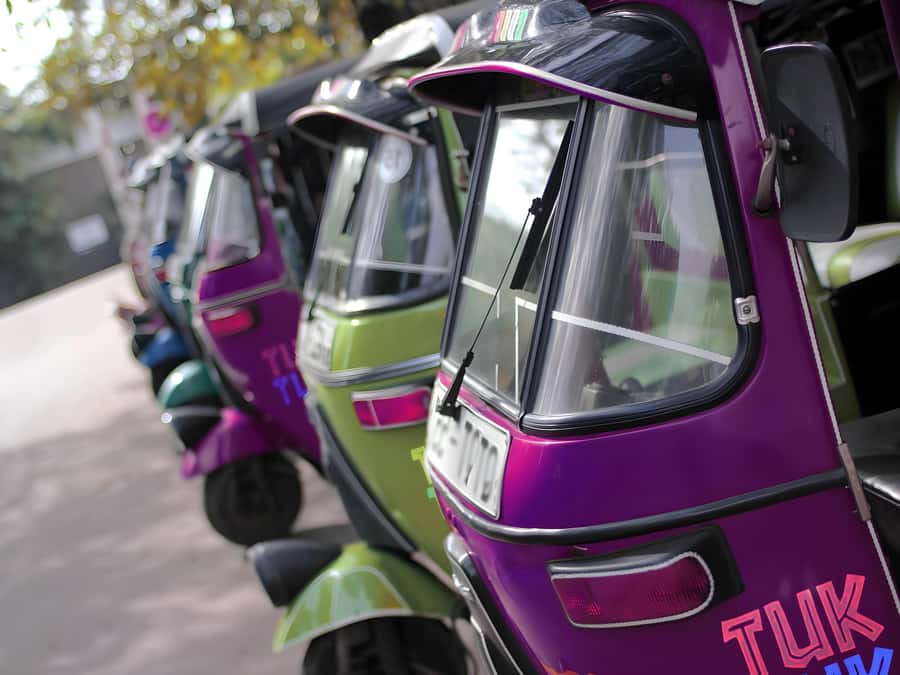 Anuradhapura: Tuk Tuk Tour - Ancient City with Audio Guide - Key things I’d watch for on this Anuradhapura tuk tuk day