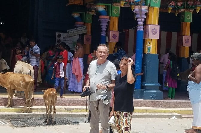Around Sri Lanka Tours - Key highlights you’ll actually care about