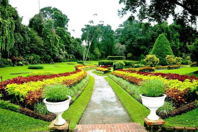 Around Sri Lanka Tours - Dambulla spices, then Temple of the Tooth plus gardens and dance