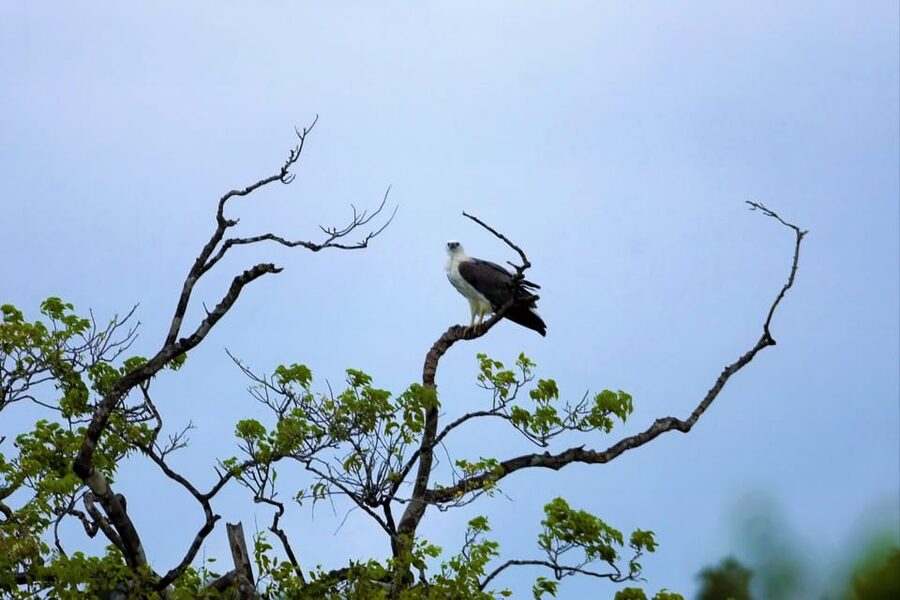 Arugambay :Pottuvil Lagoon Mangrove Eco Boat Safari Tours - What to bring, what not to do, and how to dress