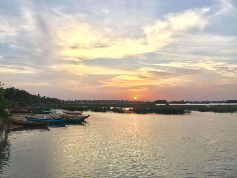 Arugambay :Pottuvil Lagoon Mangrove Eco Boat Safari Tours - Wildlife watching with an actual mental checklist