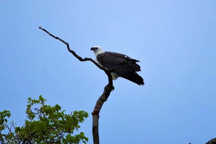 Arugambay :Pottuvil Lagoon Mangrove Eco Boat Safari Tours - Where refreshment fits, and why a short beach stop can help