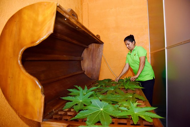 Ayurveda Day Package - Key things I would prioritize