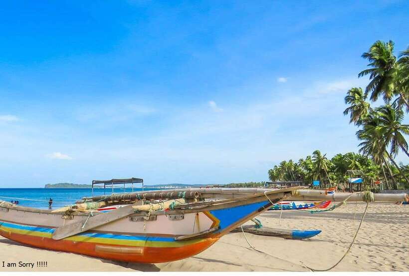 Bentota: All Inclusive Galle Dutch Fort & Madu River Safari - Who Should Book This Day Trip, and Who Might Skip It
