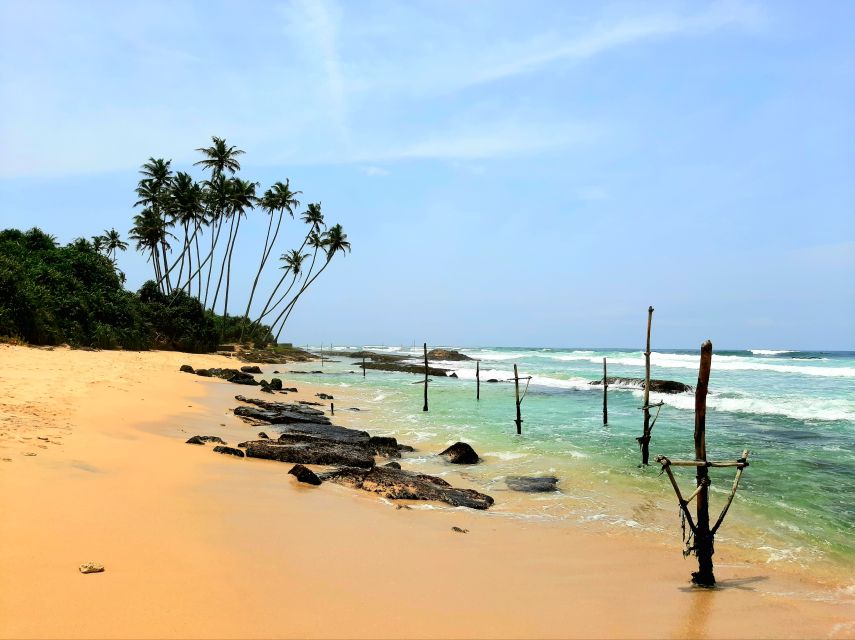 Bentota beach, River Mangroves lagoon, Wildlife Tour - Price and Logistics: Is $30 a Good Value for This Mix?