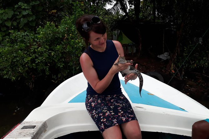 Bentota River Safari - Why This Bentota River Safari Is More Than a Boat Trip