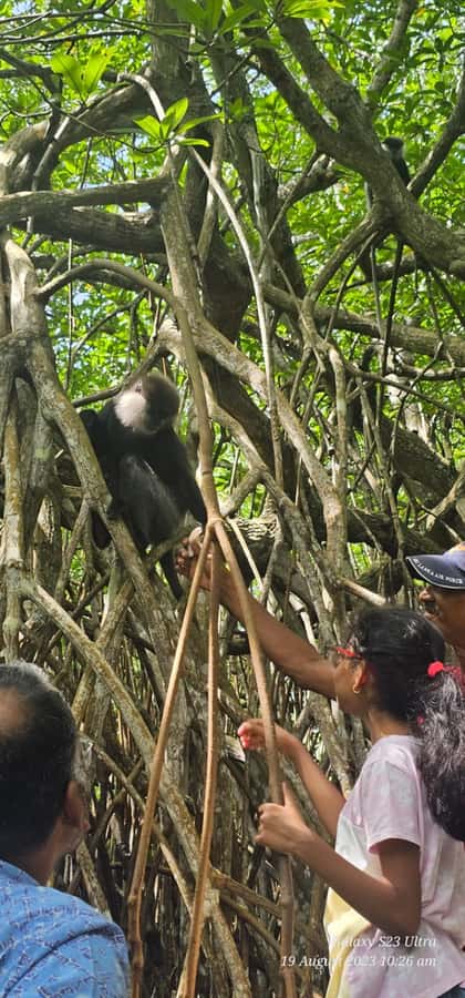 Bentota River Safari -Ahungalla/Bentota/Aluthgama/Kosgoda - Comfort and accessibility: the small details that help on a day trip