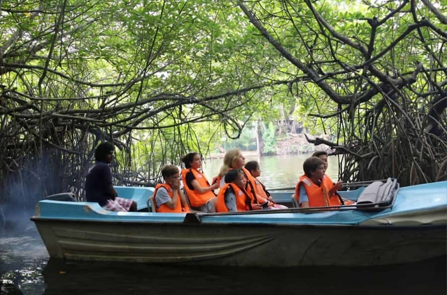 Bentota River Safari -Ahungalla/Bentota/Aluthgama/Kosgoda - On the river: mangroves, animals, and how to actually spot wildlife