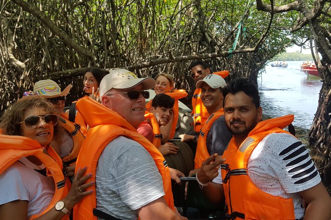 Bentota River Safari By BTM (Mangrove & Wildlife Encounter) - Who This Tour Fits Best (and Who Might Want Another Option)