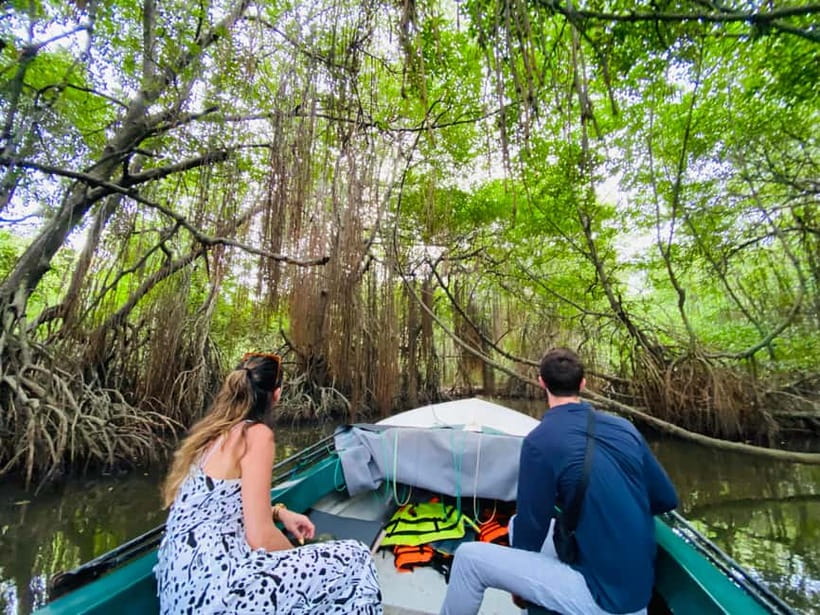 Bentota River Safari: Discover Wildlife & Mangroves by Boat - Mangroves and riverine life: why the route matters as much as the animals