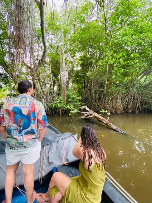 Bentota River Safari: Discover Wildlife & Mangroves by Boat - Price and value: what $20 gets you in Bentota