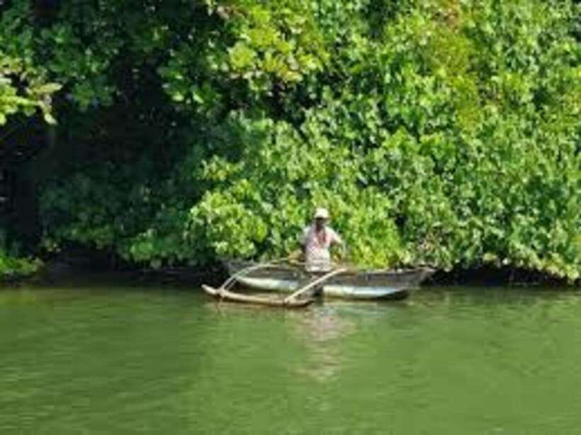 Bentota: River Safari with Hotel Pickup and Drop-Off - Hotel Pickup by Tuk-Tuk and the Easy 2-Hour Timing