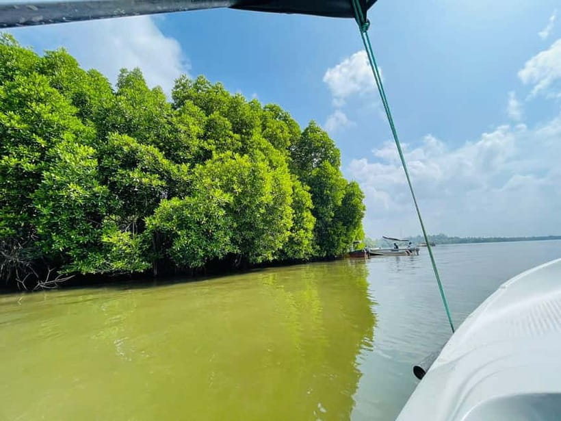 Bentota: River Safari with Hotel Pickup and Drop-Off - Who This Bentota River Safari Fits Best