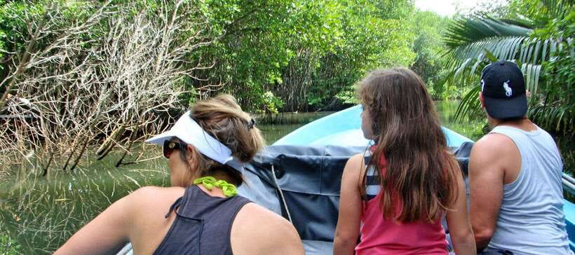 Bentota River Safari with Mangrove and Wildlife Encounter - Duration and comfort: 2 hours that can feel short in the best way