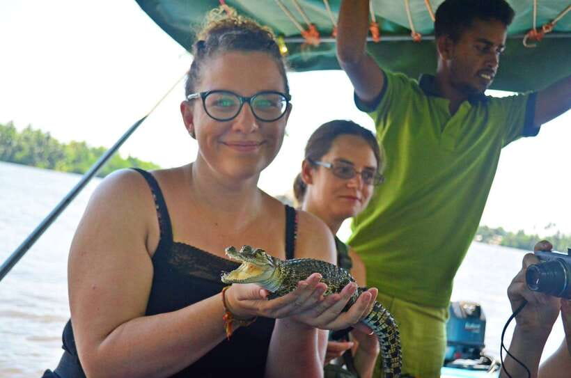 Bentota River Safari with Mangrove and Wildlife Encounter - From Bentota Bridge to the Bentota Moya Kata delta area