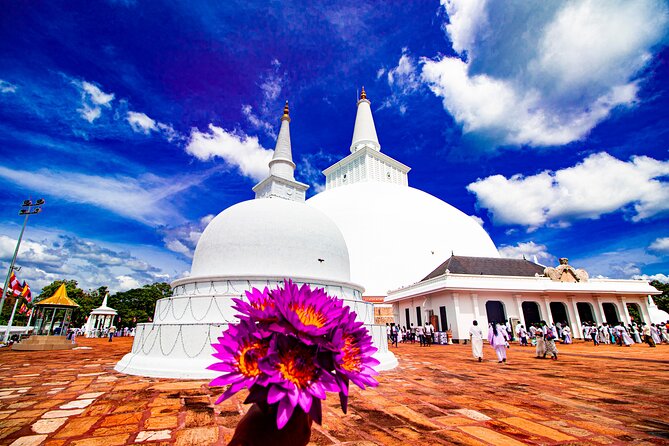Best of Sri Lanka in two weeks - Days 2 to 3: Polonnaruwa ruins and Minneriya’s elephant gathering