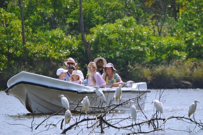 Bird Watching Tour Sri Lanka - 10 Days - Belilena Cave Evening: Where Birding Turns to Night-Ready Listening