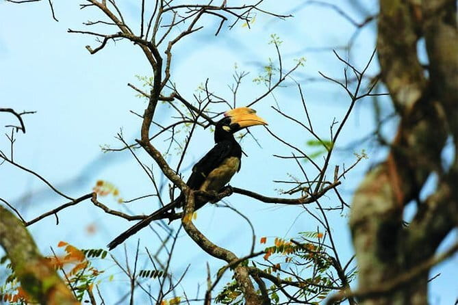 Bird Watching Tour Sri Lanka - 10 Days - Getting From Colombo to Your First Birding Wetland Without Stress