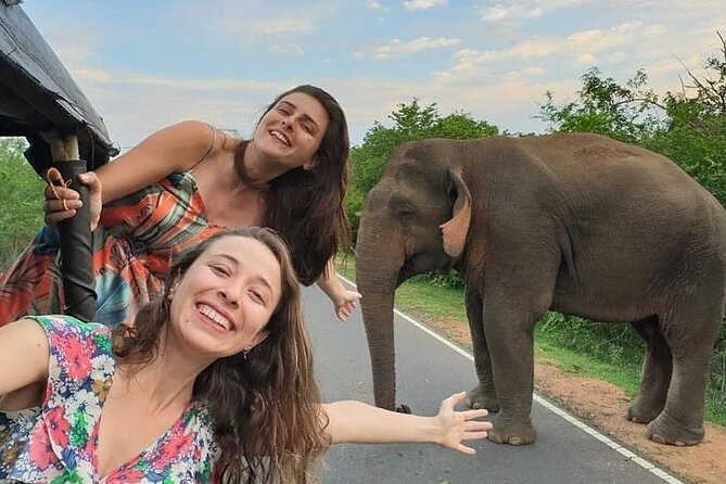 Budget Tours Sri Lanka with 7 Nights accommodation - Day 1: Habarana, Sigiriya, then a 4x4 elephant safari gamble