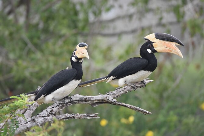 Bundala Birding Paradise - All Inclusive Tour - Guide Quality: The Part You Should Double-Check