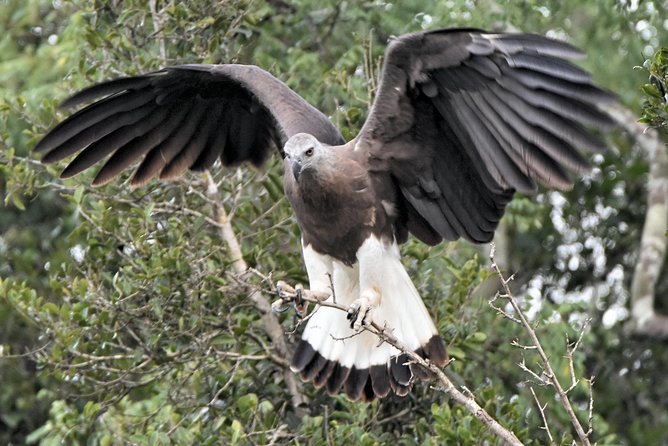 Bundala Birding Paradise - All Inclusive Tour - Hotel Pickup and the Real Cost of Not Driving Yourself