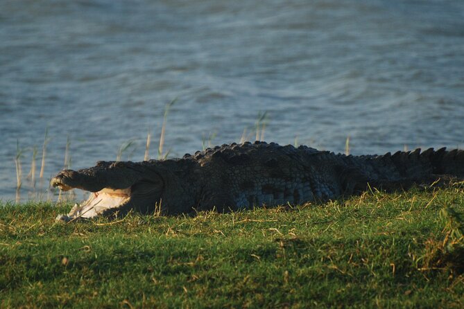 Bundala Birds Safari by Jeeps - Elephants and other mammals: what makes the safari feel real