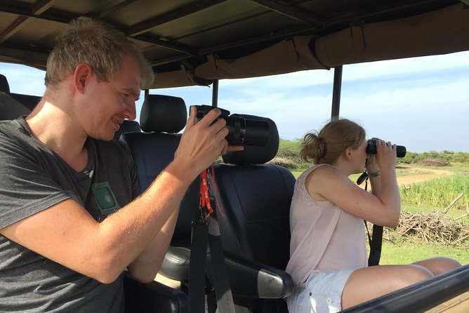 Bundala Birds Safari by Jeeps - Bring binoculars, and understand why