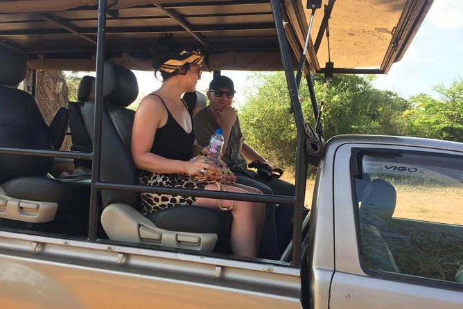 Bundala Birds Safari by Jeeps - Jeep comfort and viewing angles: what to expect in the vehicle