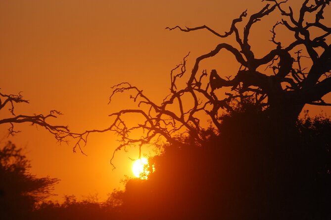 Bundala Birds Safari by Jeeps - Best time to go, and what to wear for wildlife watching