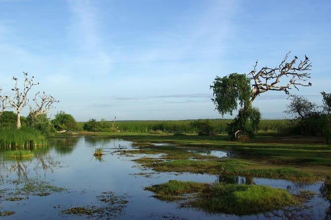 Bundala National Park by Ajith Safari - First, know what this Bundala safari is really doing