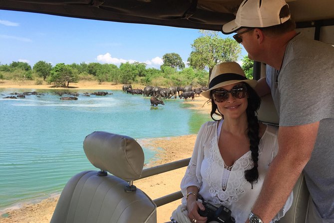 Bundala National Park Safari - Key things I’d circle before you go