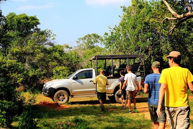 Bundala National Park Safari - Your itinerary flow, what happens on the ground, and what to expect