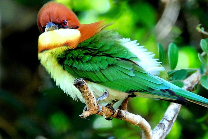Bundala National Park Safari (PRIVATE TOURS)- Morning & Afternoon - Bundala in One Jeep: Why This Private Safari Feels Different