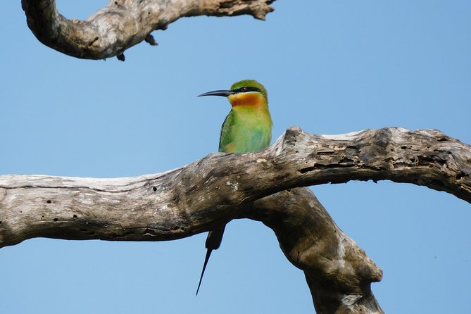 Bundala National Park Safari (PRIVATE TOURS)- Morning & Afternoon - Who This Bundala Private Safari Suits (and Who Might Want a Different Option)