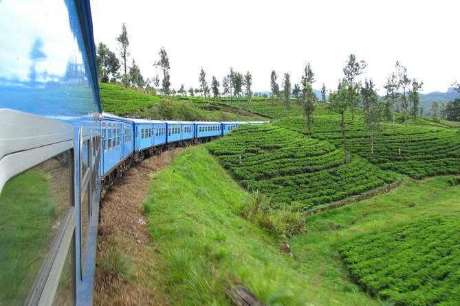 Cars with a Driver for 07 Days Tour - Nuwara Eliya to Ella by train, then Yala routing