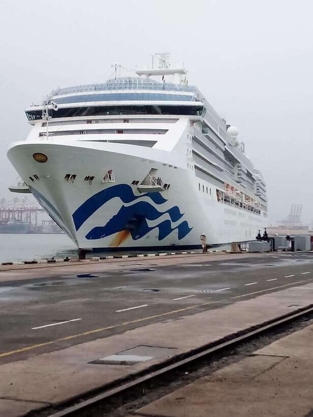 Ceylon Tea Experience from Colombo Port Passenger Terminal - From Colombo Port to Tea Country, The Day’s Real Rhythm