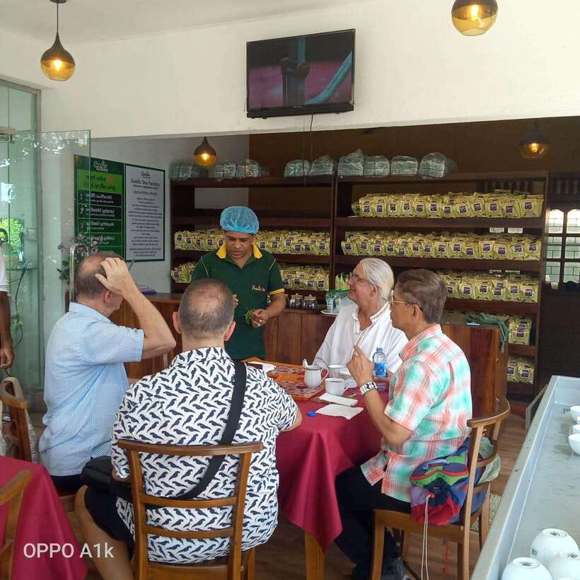 Ceylon Tea Experience from Colombo Port Passenger Terminal - Rayigam Tea Factory, Short Visit With Big Explanations