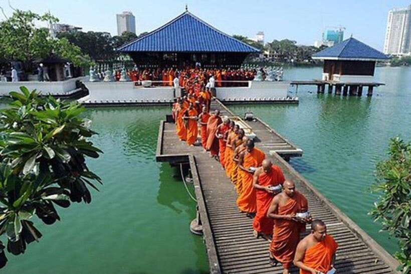 Ceylon Tea Experience from Colombo Port Passenger Terminal - Tea Plucking and the Ceylon Tea Plantation Moment