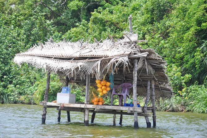 Coastal Ride to Galle from Bentota - The Madu River safari with Buddhi: mangroves, wildlife, and fish massage