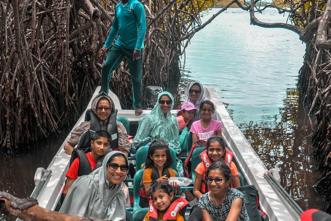Coastal Ride to Galle from Colombo - Price and logistics, what you really get for $121