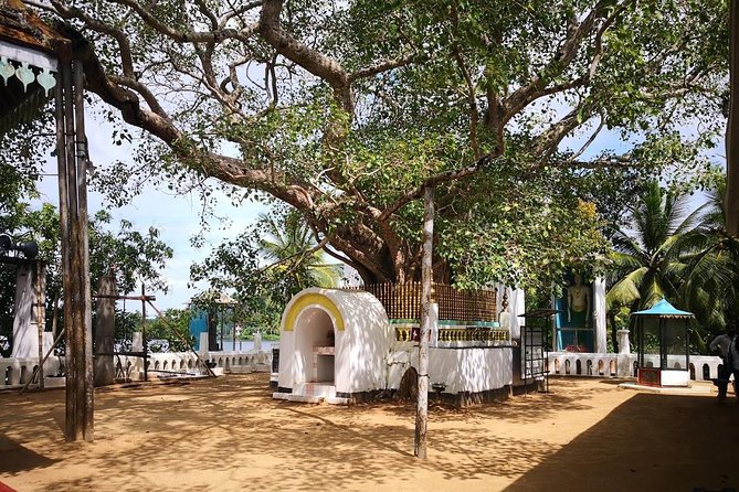Coastal Ride to Galle from Colombo Seaport - Snorkeling, scuba, or surfing upgrades: when extra fees make sense