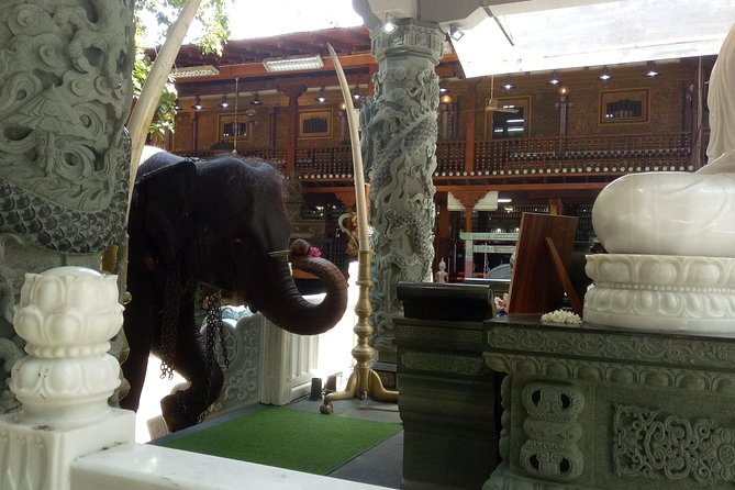 Colombo City Day Tour - Independence Square: A Civic Landmark Stop With Quick Context