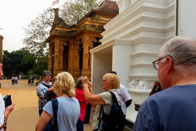 Colombo City Tour (small group with pickup from Cruise ship) - Price and Value: Is $100 Worth It?