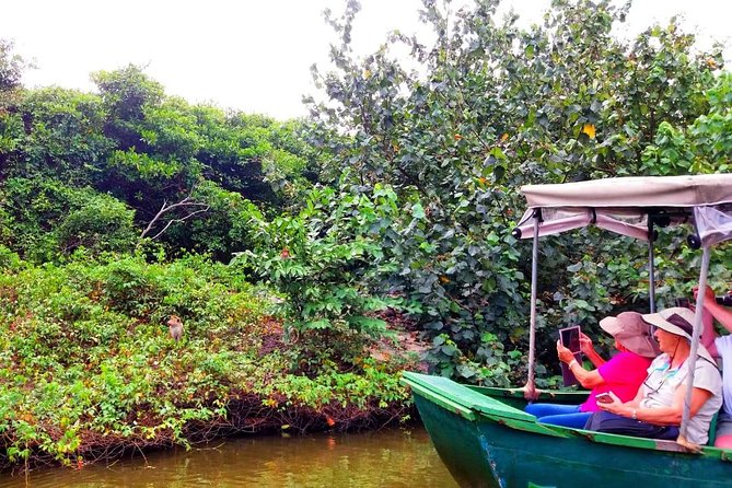 Colombo City Tour (small group with pickup from Cruise ship) - The One Trip Pattern I’d Recommend You Follow
